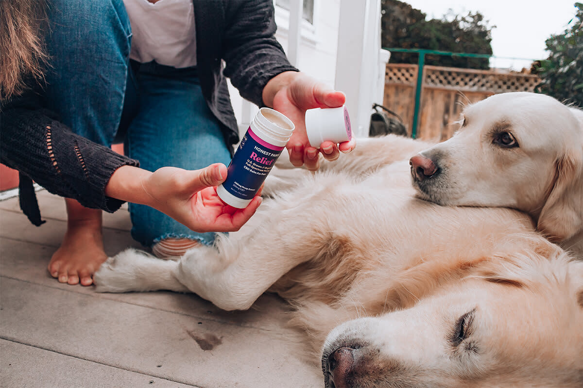 Get Honest Paws CBD Relief Pet Balm