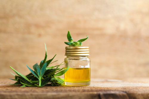 aceite de cbd para perros ansiosos