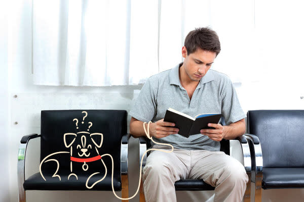 an illustrated dog with autism sits beside their pet owner in a vet’s office, indicating that the pet owner is exploring whether their dog can be diagnosed with autism