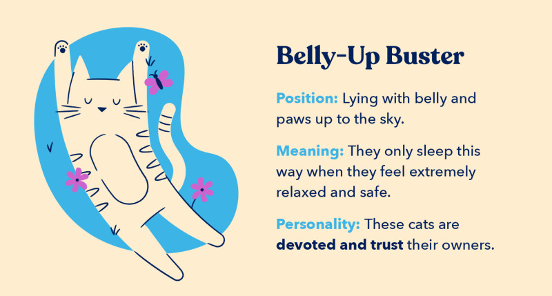 Belly up