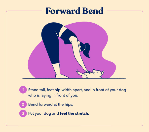 as part of a guide to doga, this illustration shows how to do a Forward Bend yoga pose with your dog in three steps