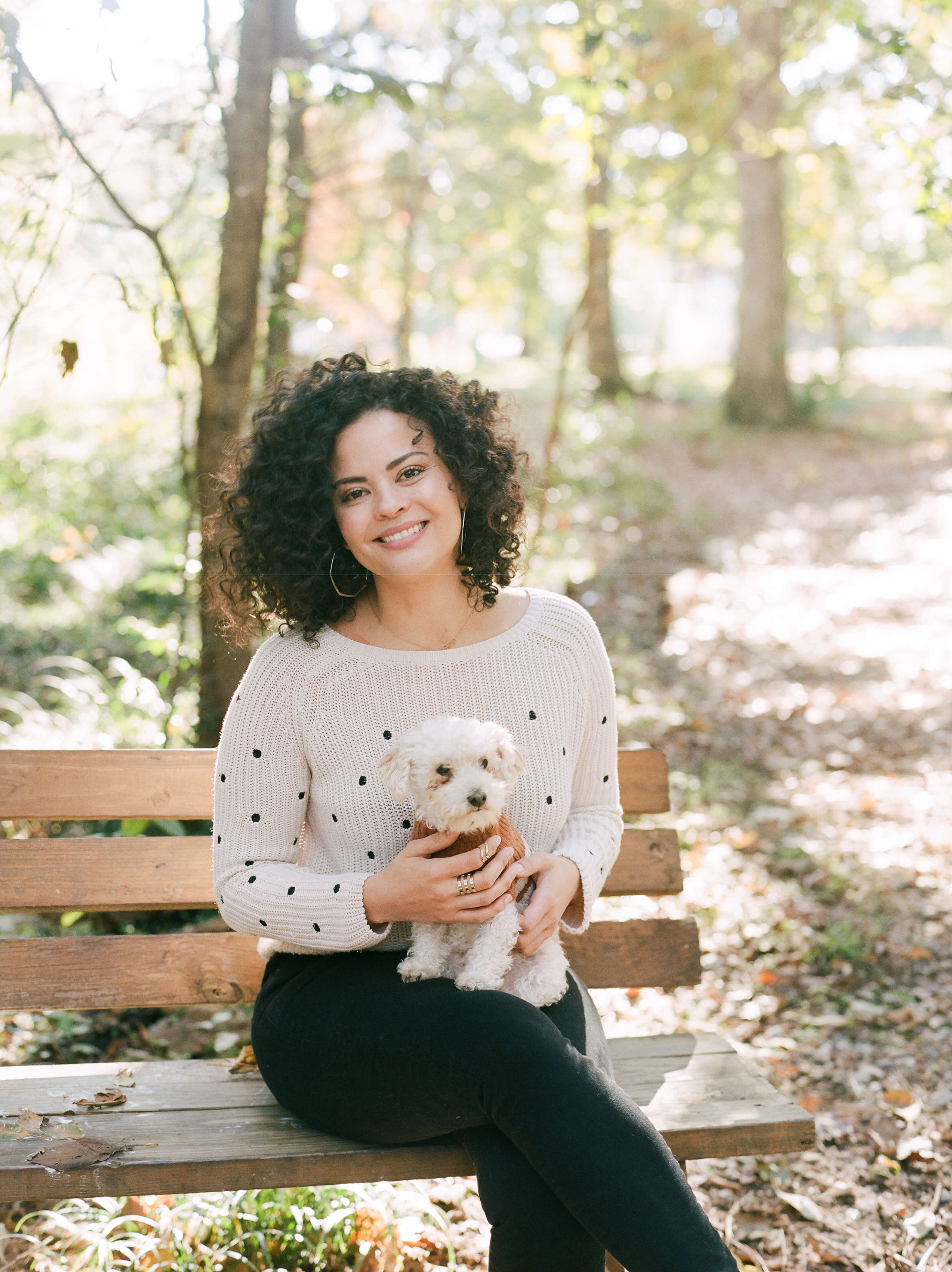 CBD Oil for dogs