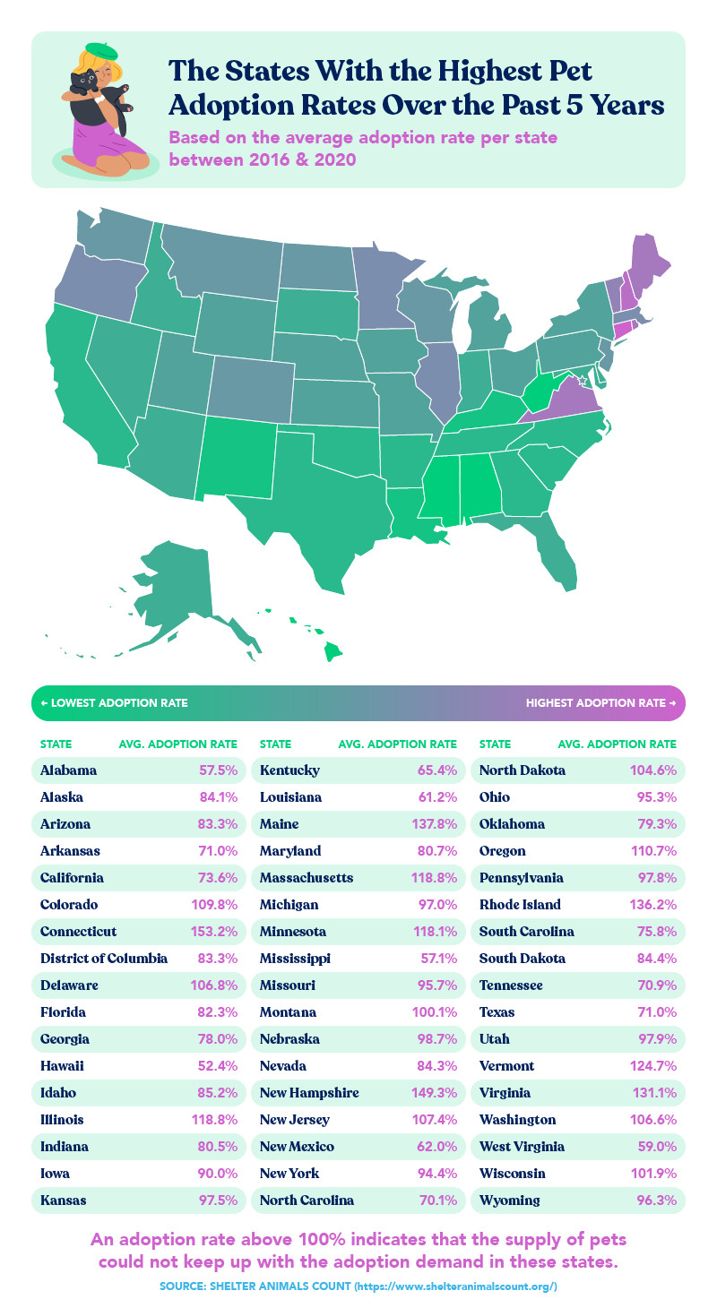 honestpaws-petadoptionrates-graphic-v1 1