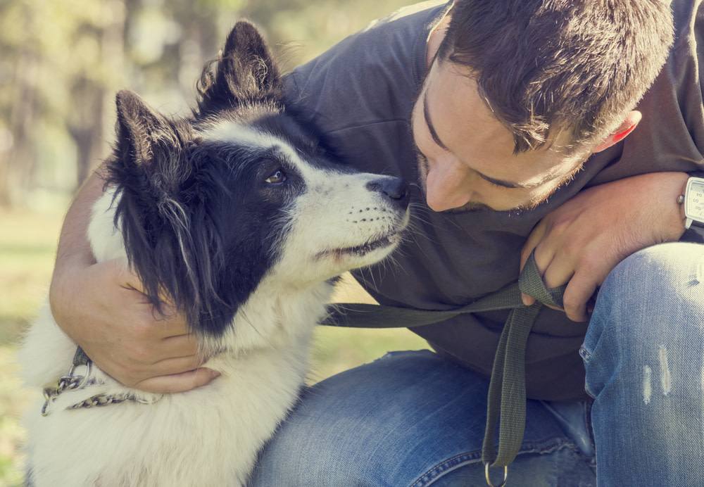 Administering Probiotics for dogs