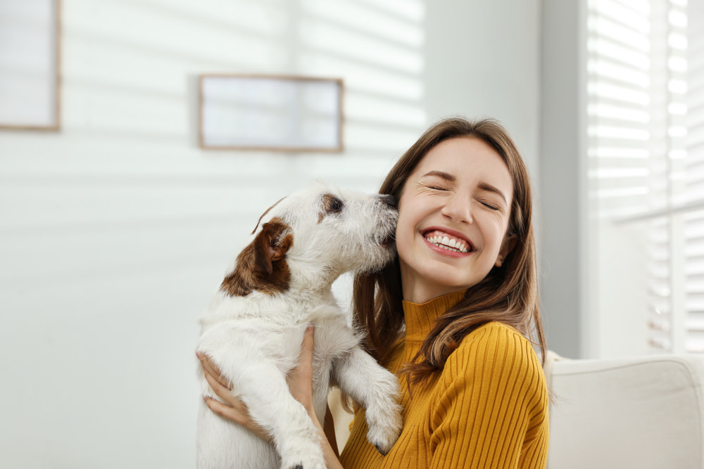 Choosing the Right CBD for Dogs