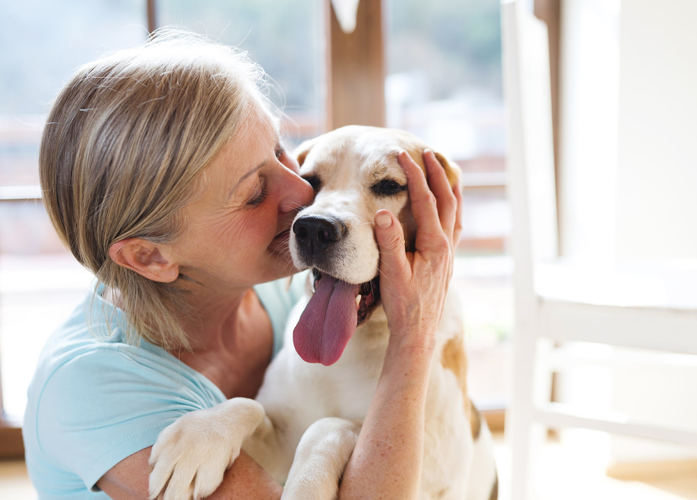 Final Thoughts On Calming Dogs With CBD