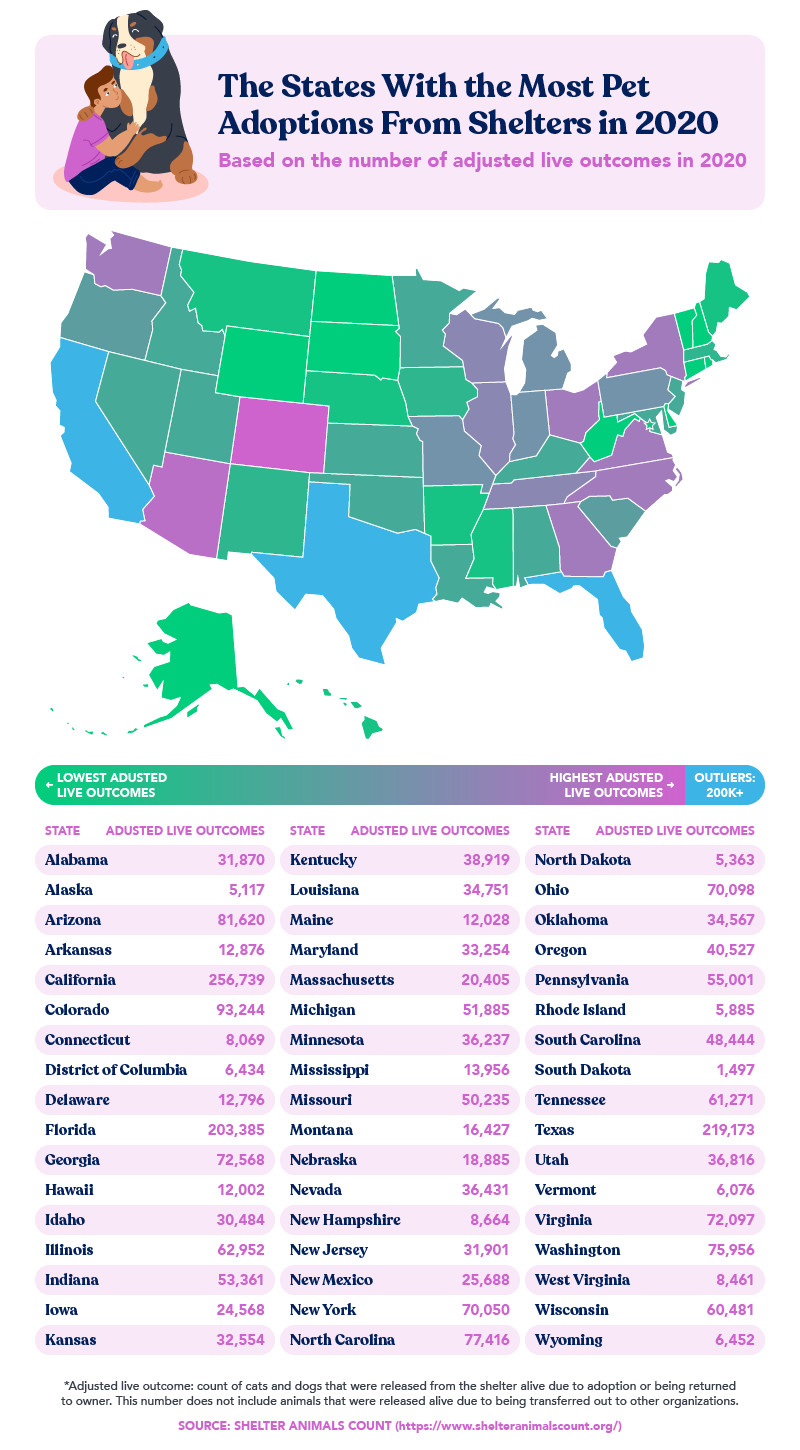honestpaws-petadoptionrates-graphic-v2 3