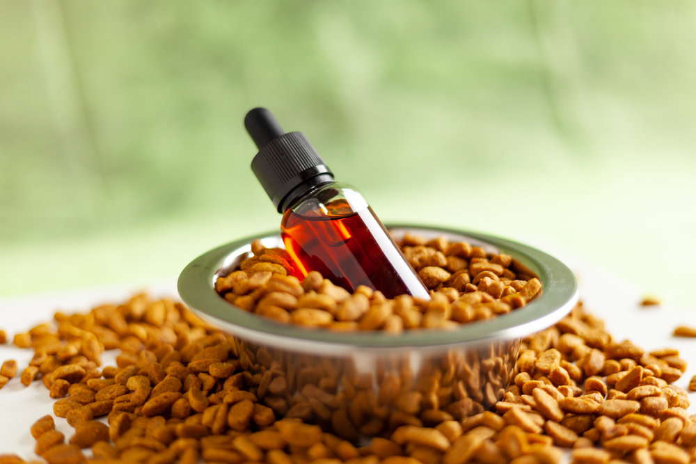CBD oil dosage for dogs