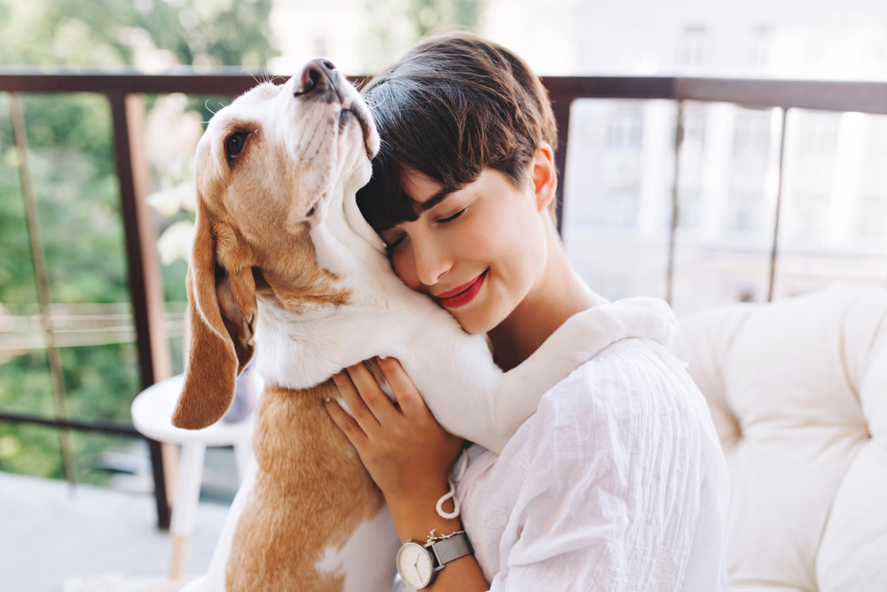 CBD Edibles, A Reward For Your Dog's Body