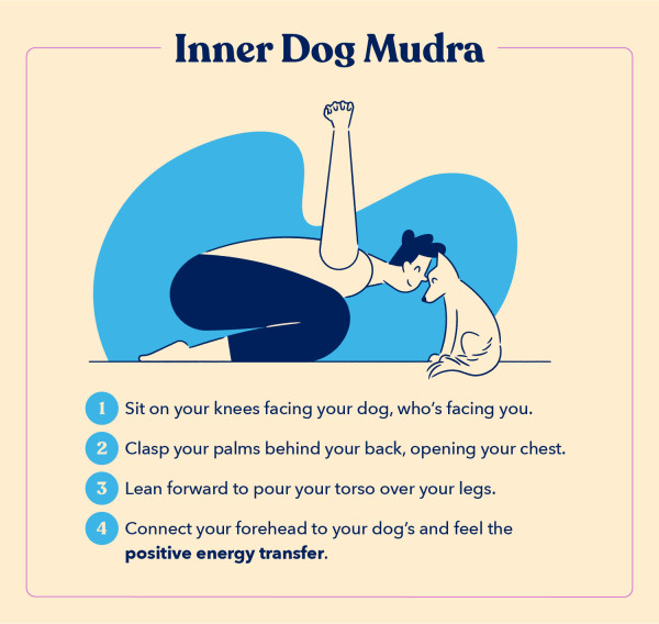 as part of a guide to doga, this illustration shows how to do the dog yoga pose Inner Dog Mudra in four steps