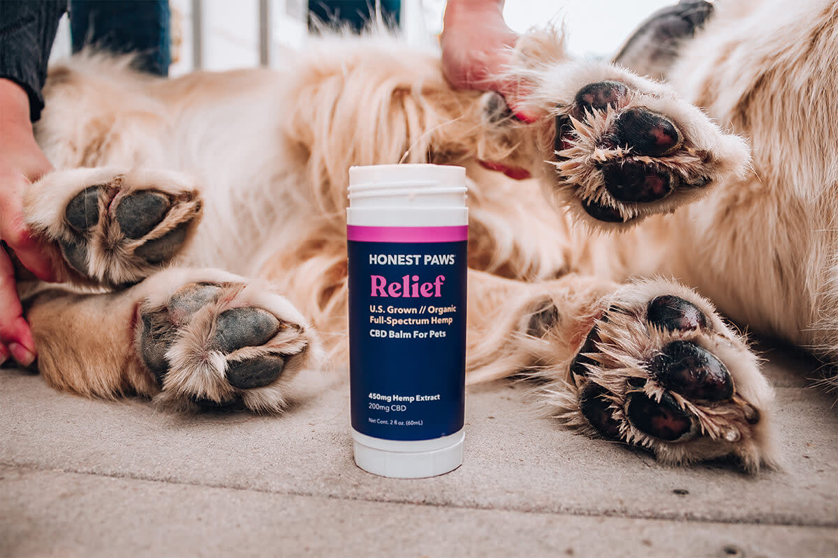 Honest Paws Relief Pet Balm contains CBD to help soothe your dog's paws.