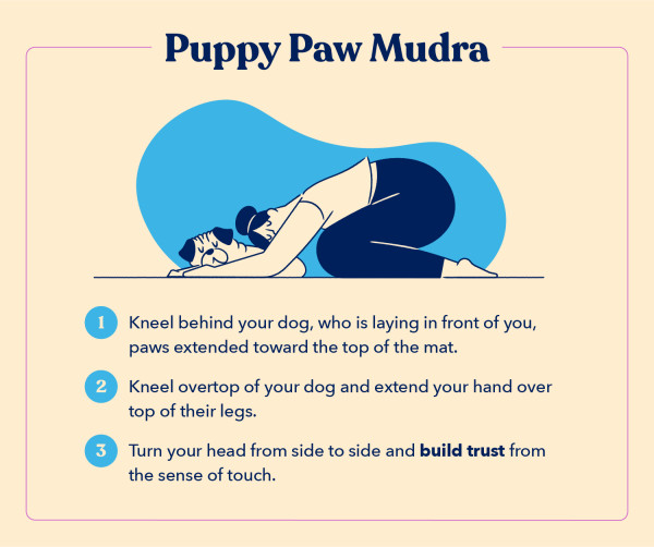 as part of a guide to doga, this illustration shows how to do the dog yoga pose Puppy Paw Mudra in three steps