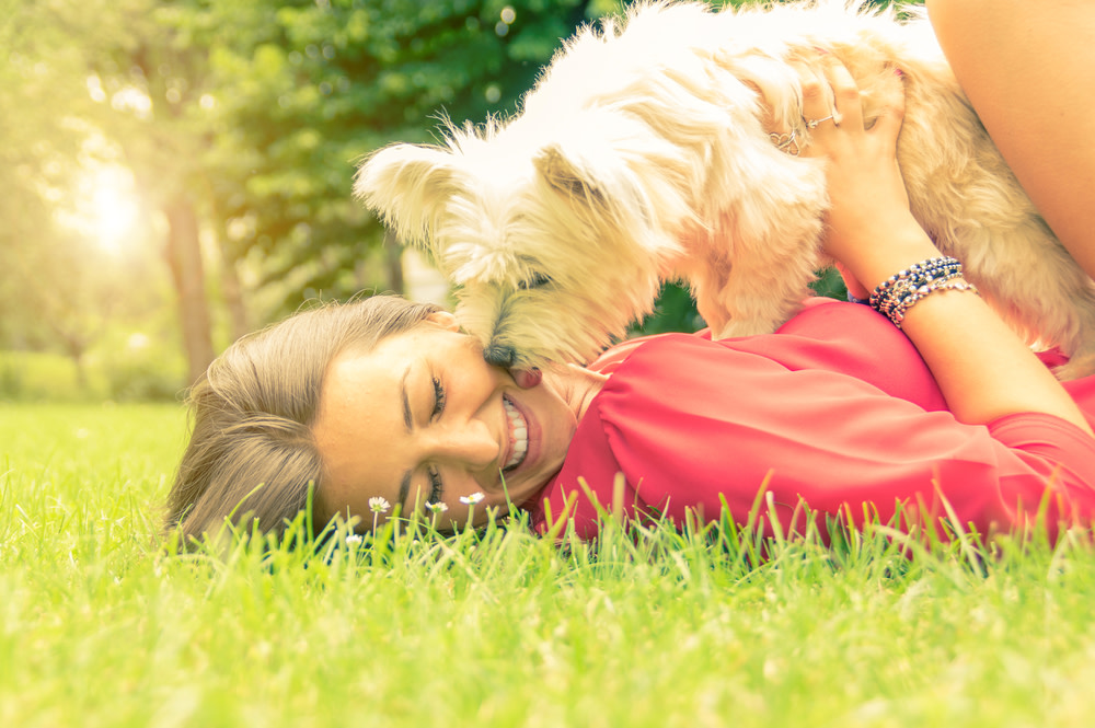 Probiotics For Dogs Bad Breath