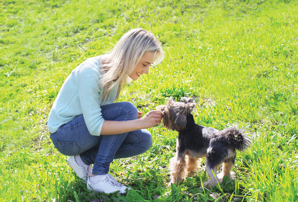 Why Should you Give Probiotics to your Dogs