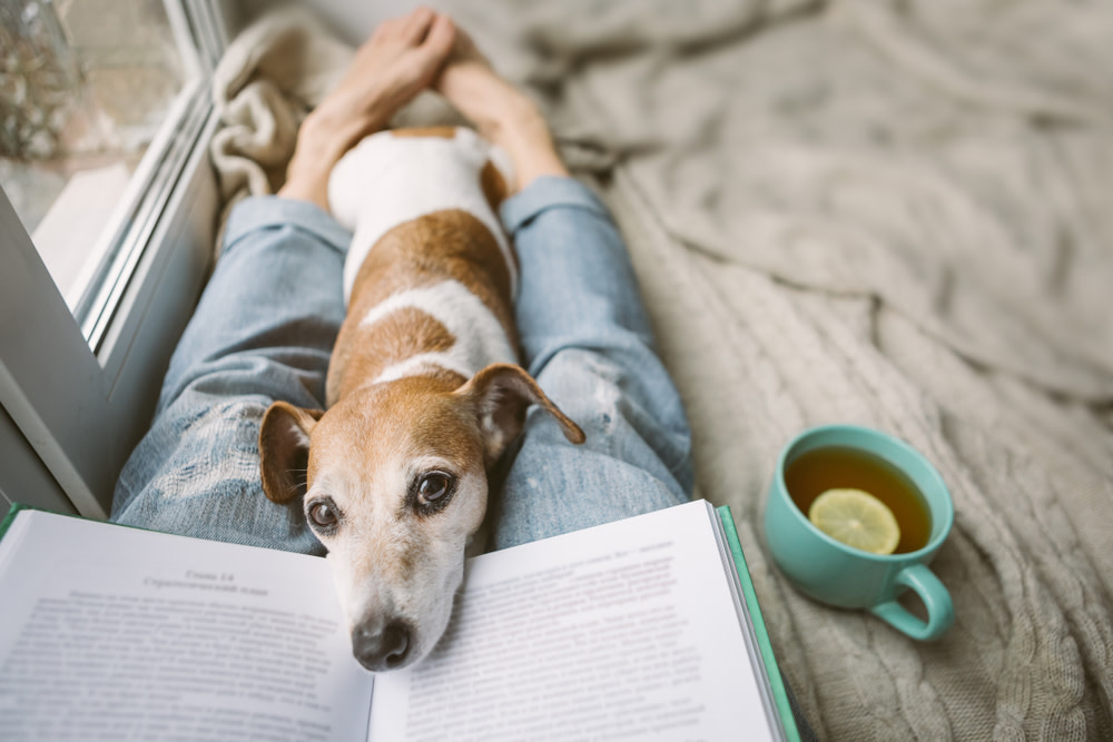 content dog laying with owner