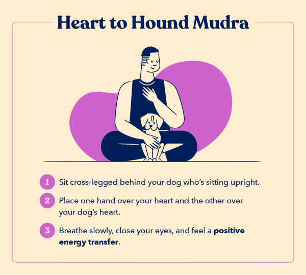 as part of a guide to doga, this illustration shows how to do the dog yoga pose Heart to Hound Mudra in three steps