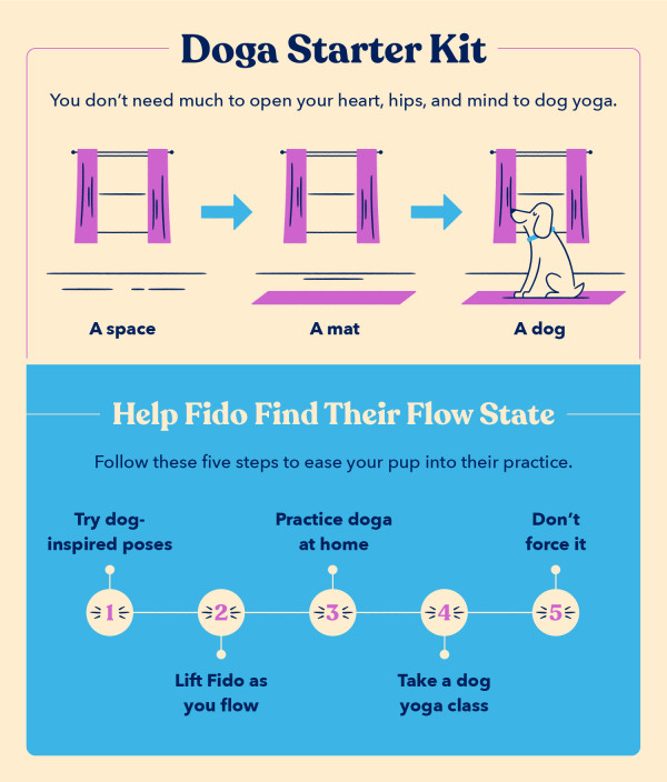 an overview of how to get started with dog yoga, including necessary props and five steps to ease a dog into doga