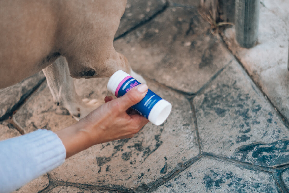 Use Honest Paws CBD For Pets For Hyperkeratosis
