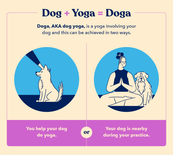 a definition of doga, also known as dog yoga, and the two ways it can be achieved