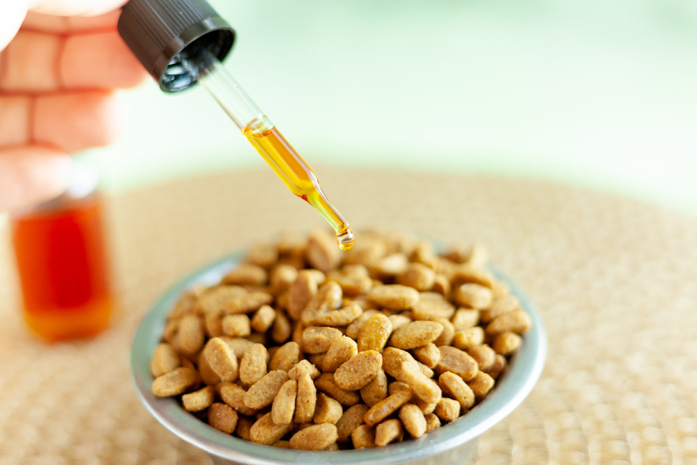 CBD for Dogs Dosage