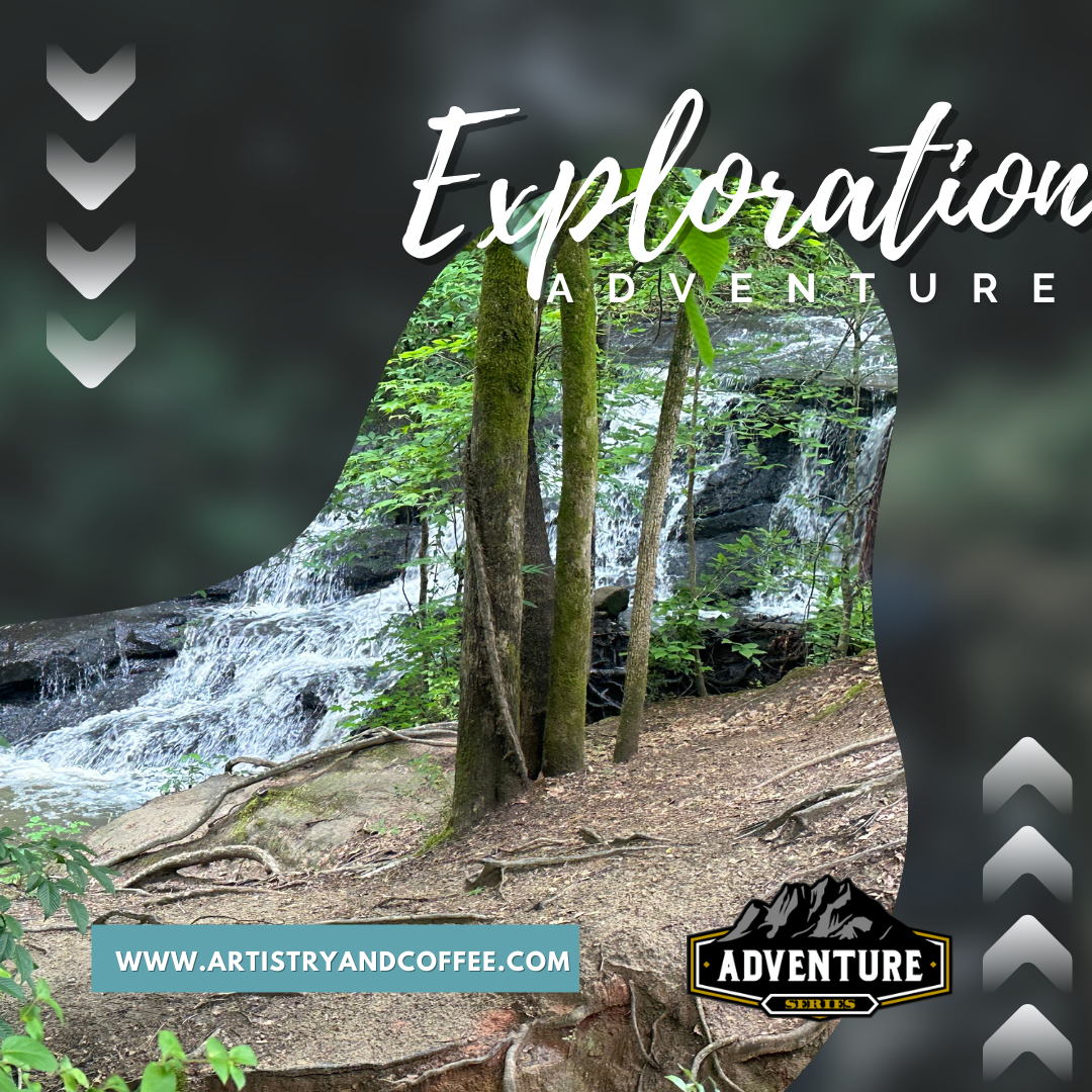 Exploration Adventure - Anne Springs Close Greenway