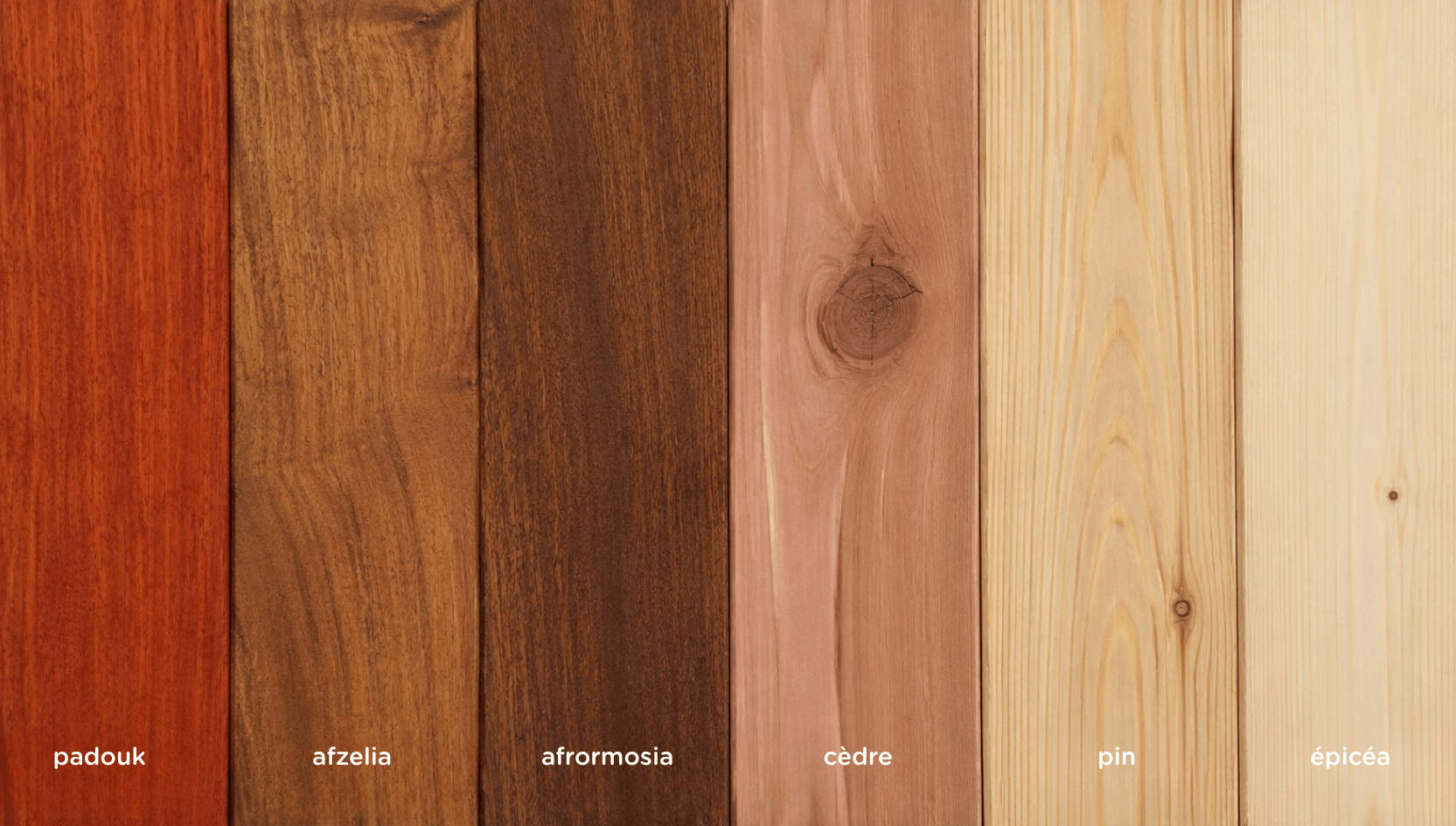Six planches de bois portant les noms de Padouk, Afzelia, Afromosia, Cèdre, Pin et Sapin (bois résineux), qui présentent chacune une couleur et un grain différents, sont disposées côte à côte sur un fond gris.
