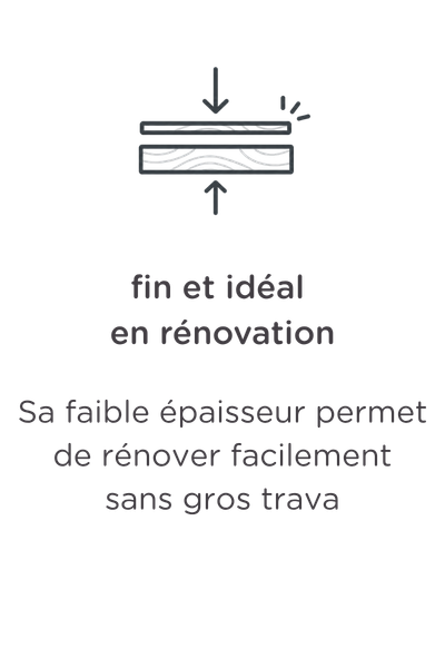 Image d'un panneau fin avec des flèches pointant vers le haut et vers le bas. Texte en néerlandais : « Fin et idéal pour la rénovation. Une structure fine, parfaite pour rénover sans faire de compromis sur le style. »