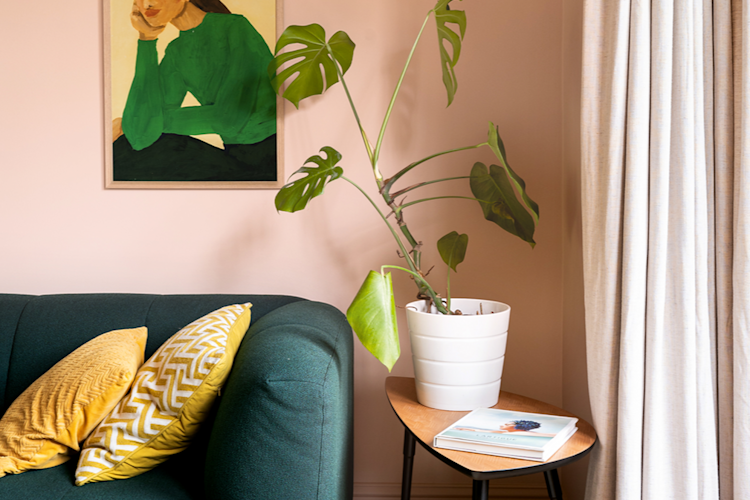 kleuradvies hero-image