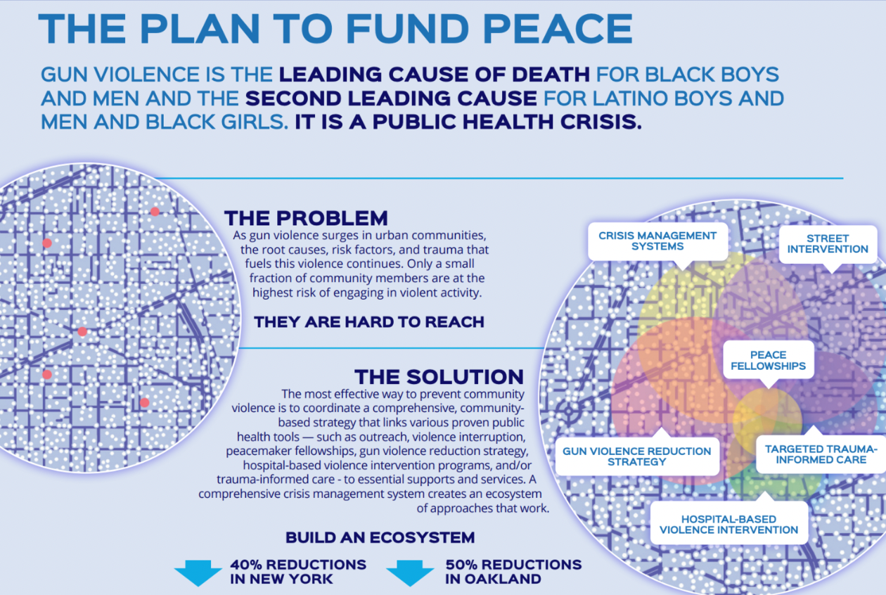 The Plan to Fund Peace