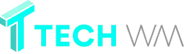 TechWM Logo in blue and grey