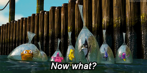Gif of fish from Finding Nemo with caption “Now what?” (source)