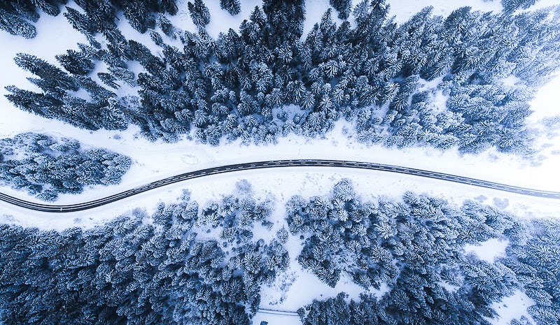 Winter car