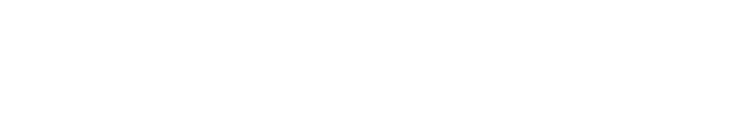 Gowago Logo White PNG