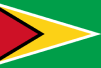 Flag of Guyana