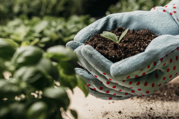 Fertilizantes usiquimica acido sulfúrico