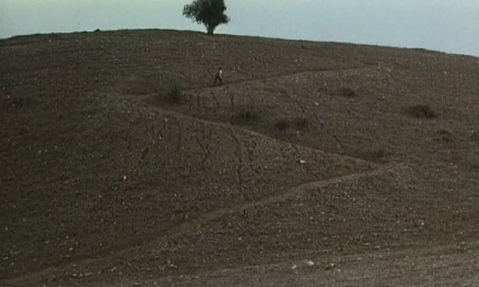 Hugh Review - Kiarostami Tree