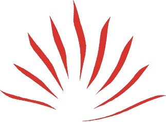 brand icon