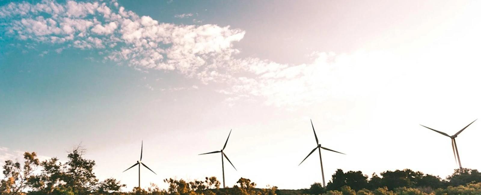 Kiên Giang: Tiềm Năng phát triển năng lượng tái tạo