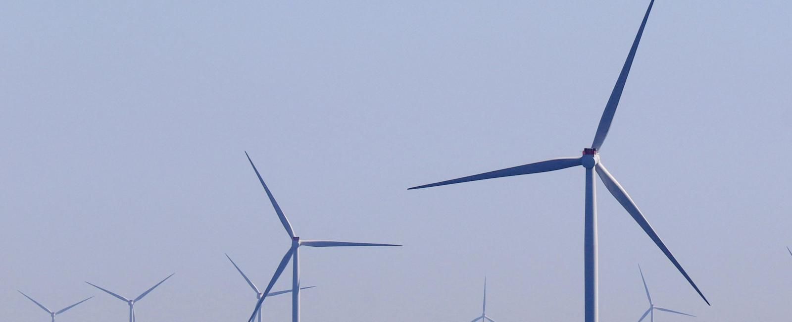 Nhà điều hành lưới điện California ủng hộ việc tăng cường năng lượng gió ngoài khơi