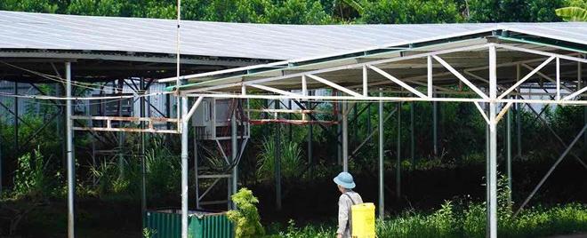 Huyện Tân Phú chỉ đạo kiểm tra trạm điện mặt trời khủng ở Đồng Nai