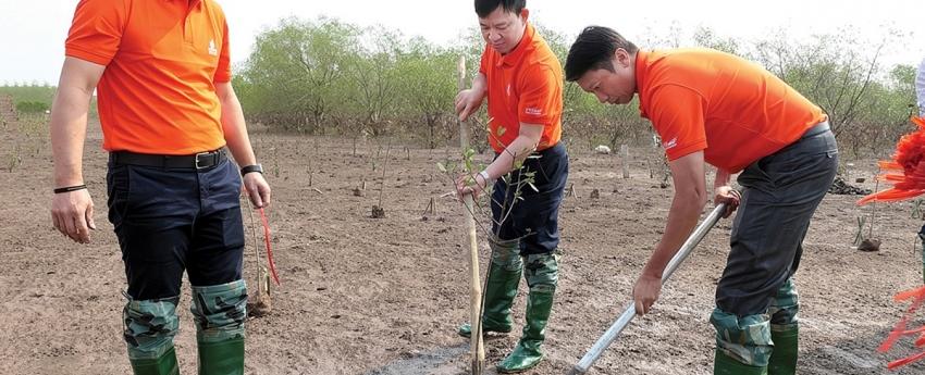 PVEP điều chỉnh chiến lược trong bối cảnh chuyển đổi năng lượng