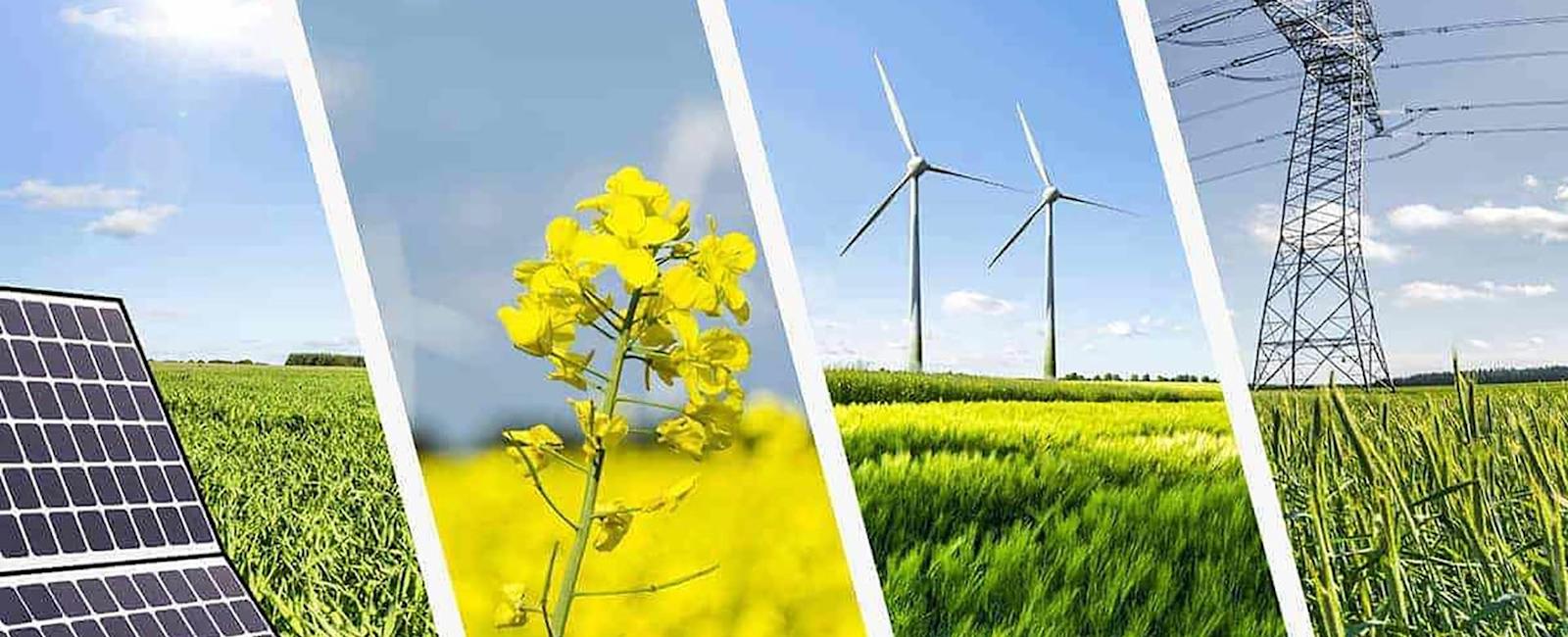 Xu thế luật hóa các tiêu chuẩn xanh của EU