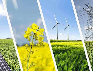 Xu thế luật hóa các tiêu chuẩn xanh của EU