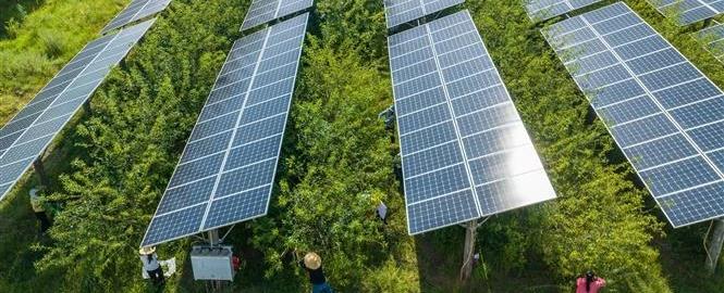 Trung tâm Năng lượng ASEAN và Huawei ra mắt Sách trắng về tương lai bền vững của trung tâm dữ liệu