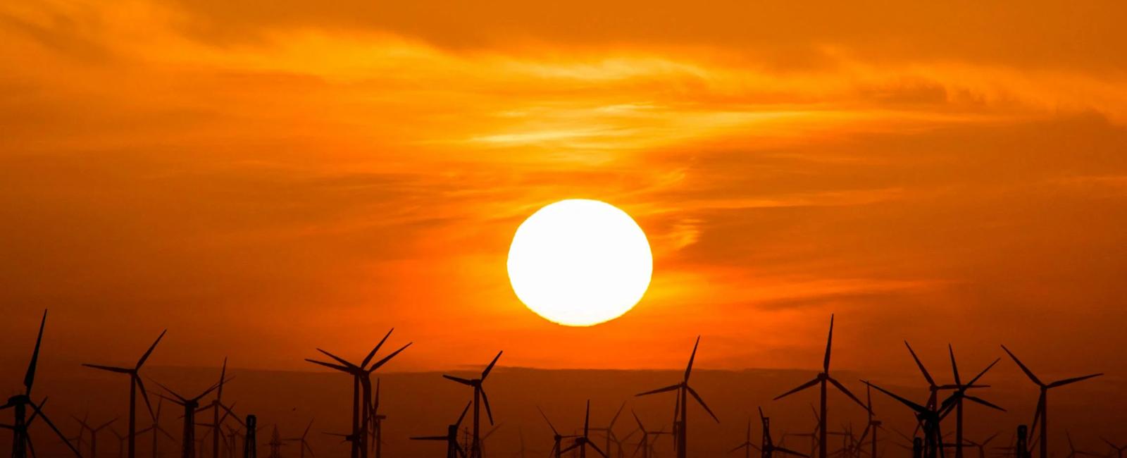 Công suất điện mặt trời toàn cầu có thể tăng thêm từ 600-660 GW vào năm 2024