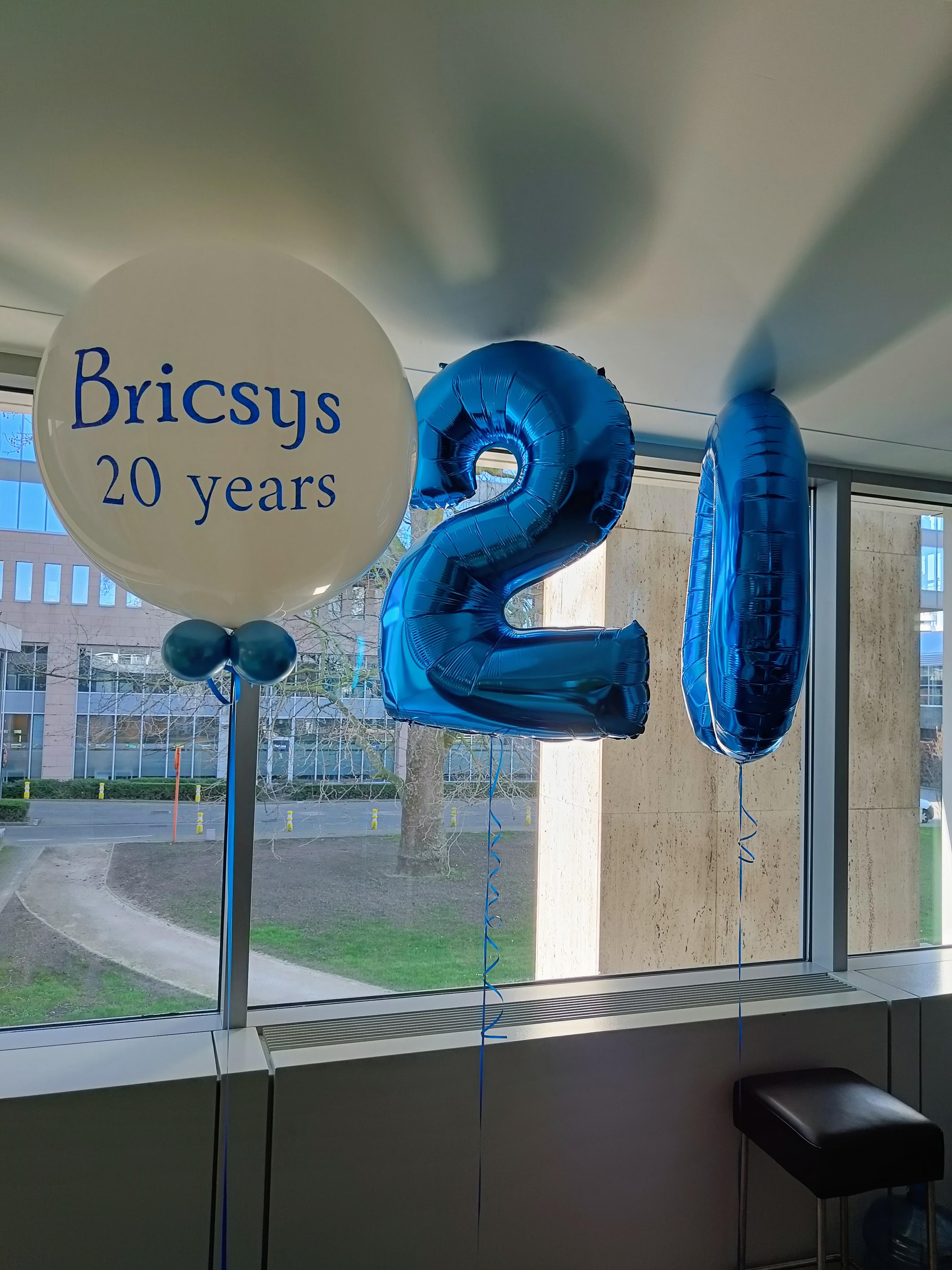 Bricsys 20歳の誕生日バルーン
