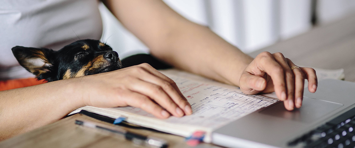 This was 2020 at Bricsys- header work from home