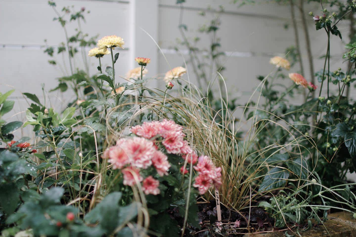like_a_bouquet_20200915_2