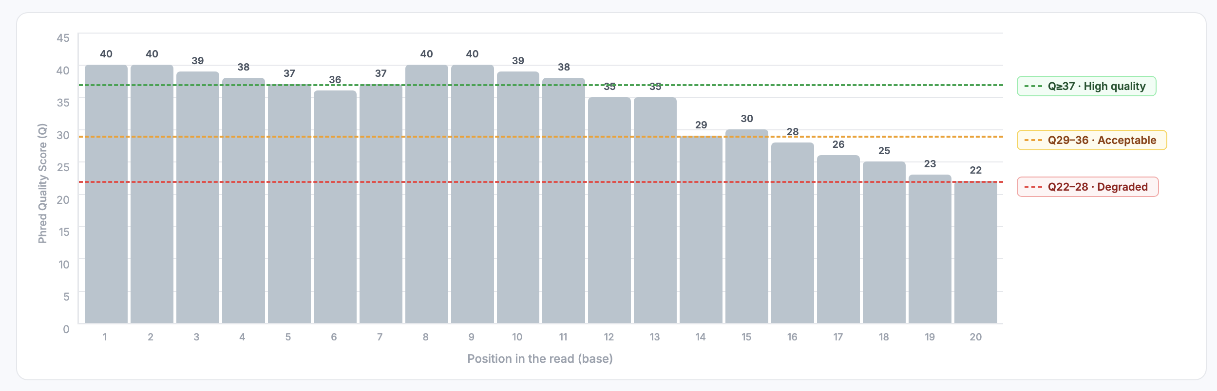 Per-base quality scores: high-quality bases at the start, decreasing toward the end of the read.