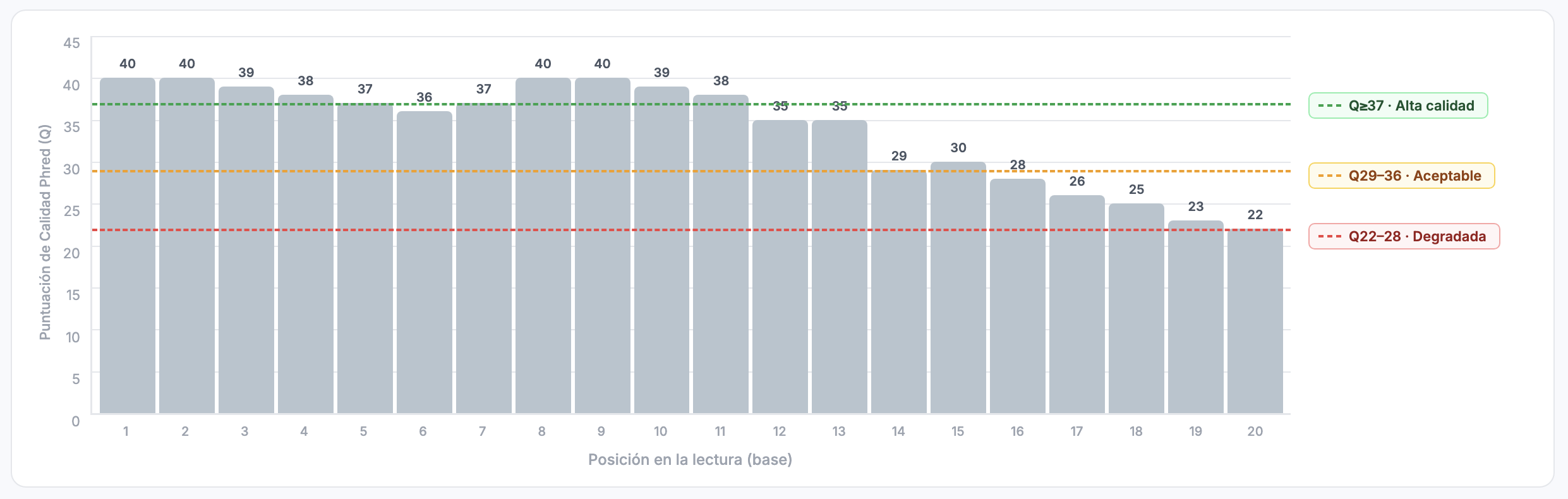 Puntuaciones de calidad por base: alta calidad al inicio, disminuyendo hacia el final de la lectura.